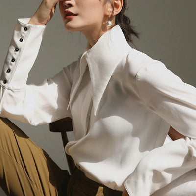 Polished Excellence Satin Collared Long Sleeve Top