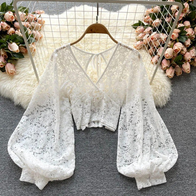Delicate Perfection Sheer Lace Crop Top